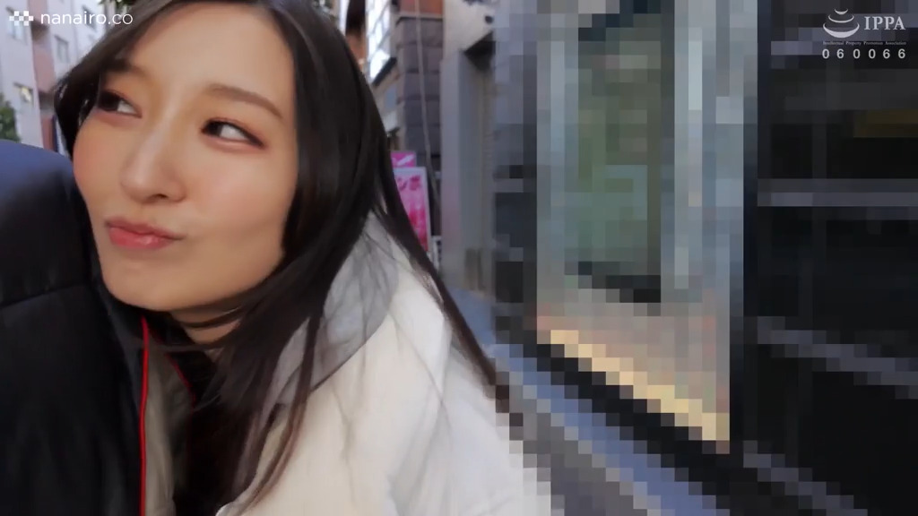scute1511 画像3