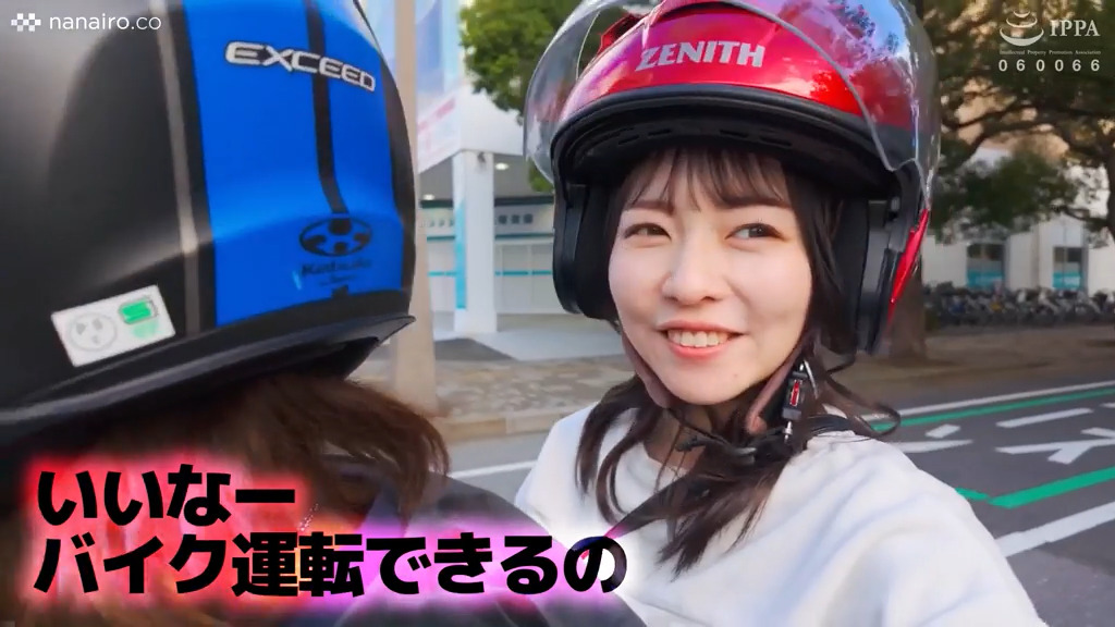 scute1555 画像1