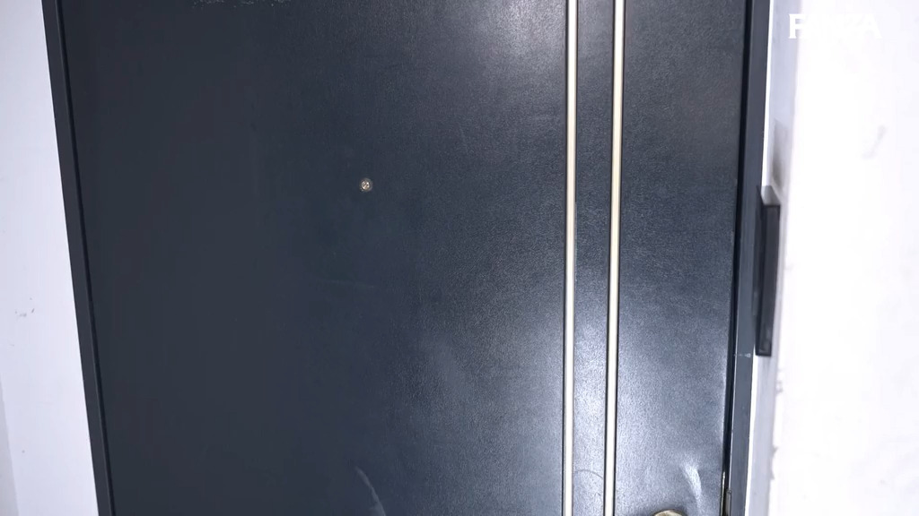 pai270 画像1