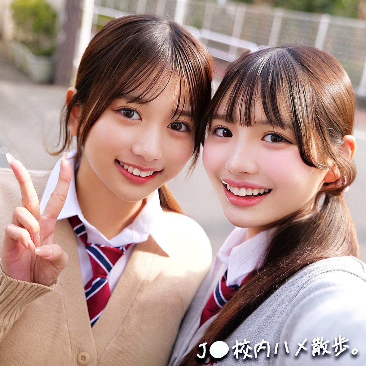 smgd042 画像