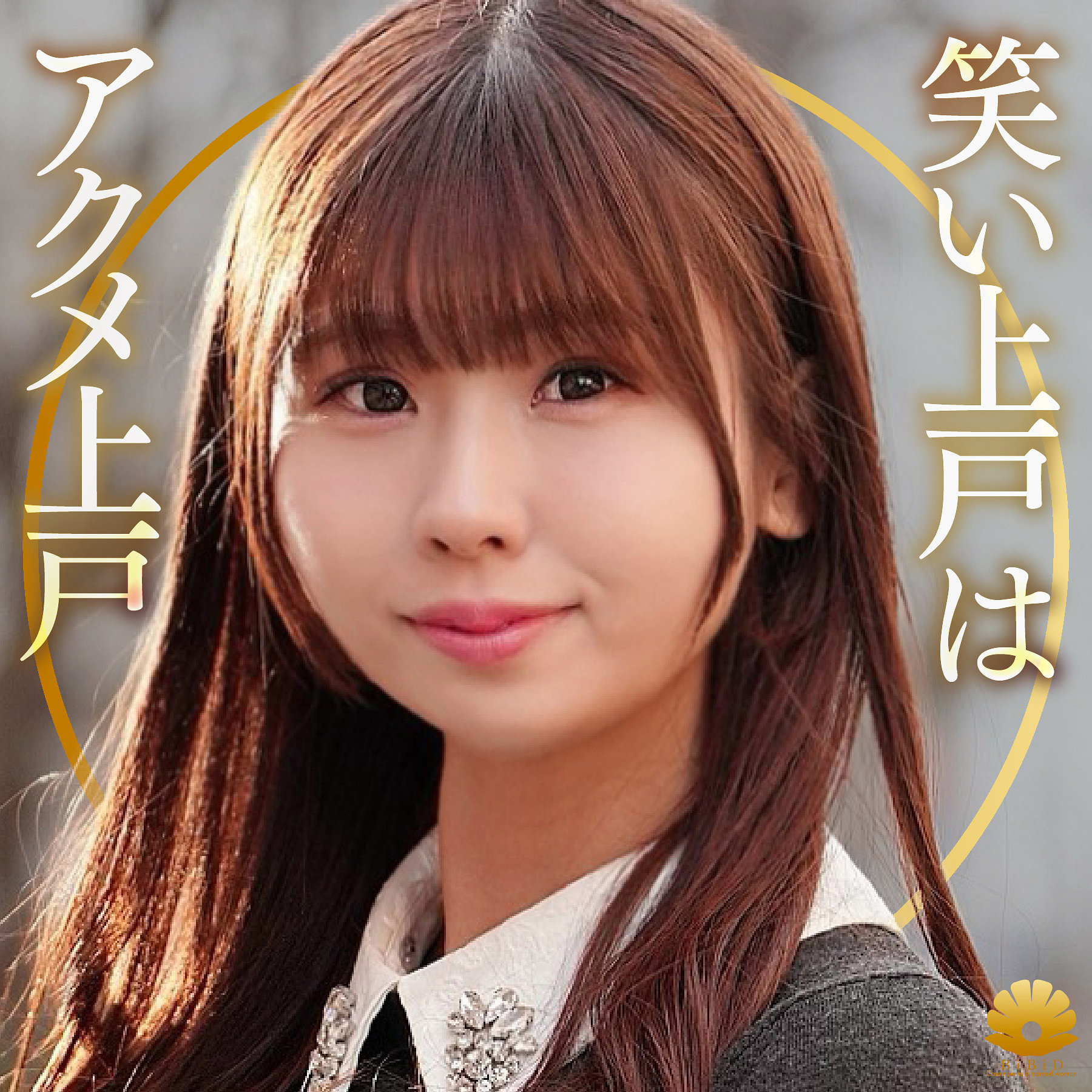 dht1339 画像