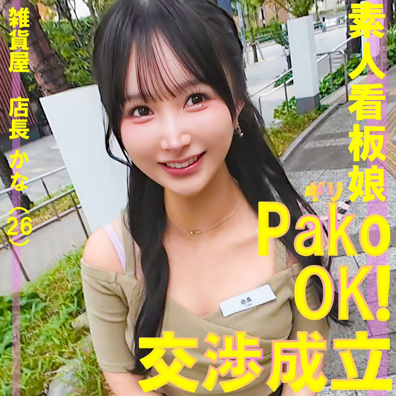 pai250 画像